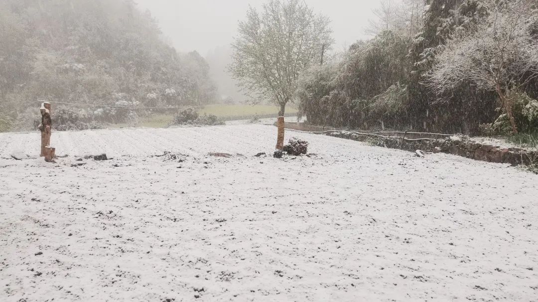 湖北正在下雪！“比冬天的雪还大”