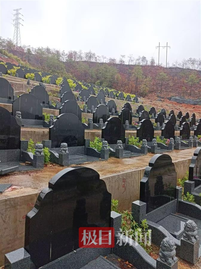 极目调查|龙岩长汀县一半山腰上现数百个违规墓穴，当地有多个违建墓地，单个墓售价3万多