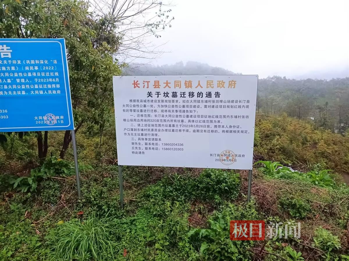极目调查|龙岩长汀县一半山腰上现数百个违规墓穴，当地有多个违建墓地，单个墓售价3万多