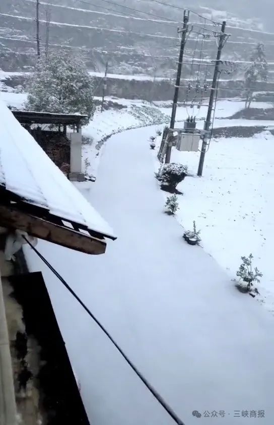 湖北正在下雪！“比冬天的雪还大”