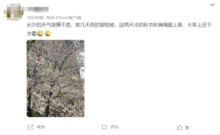 刚刚，长沙下雪了？长沙人：大早上下冰雹，离大谱！