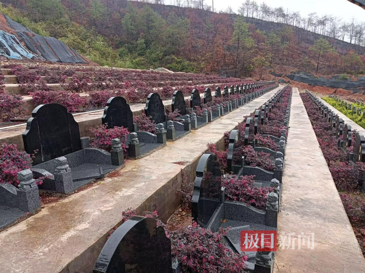 极目调查|龙岩长汀县一半山腰上现数百个违规墓穴，当地有多个违建墓地，单个墓售价3万多