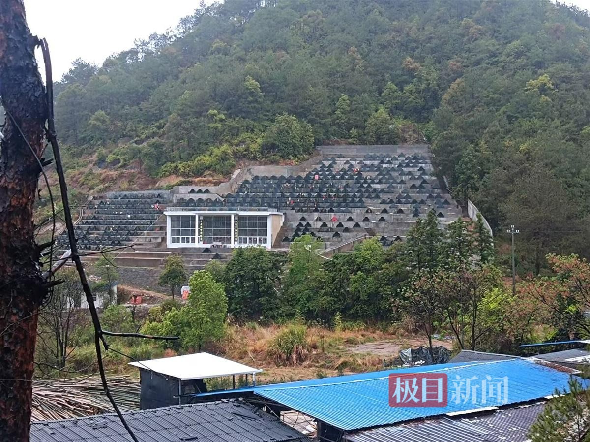 极目调查|龙岩长汀县一半山腰上现数百个违规墓穴，当地有多个违建墓地，单个墓售价3万多