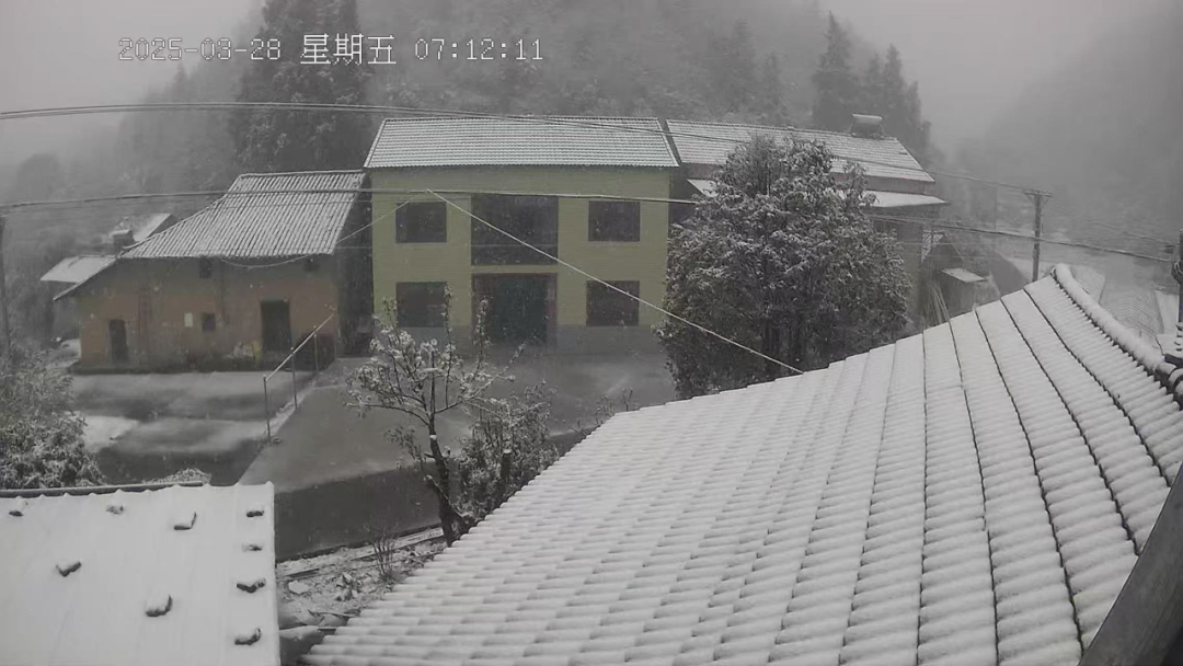 湖北正在下雪！“比冬天的雪还大”