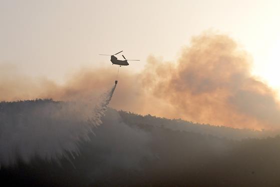 韩国东南部山火已造成26人死亡