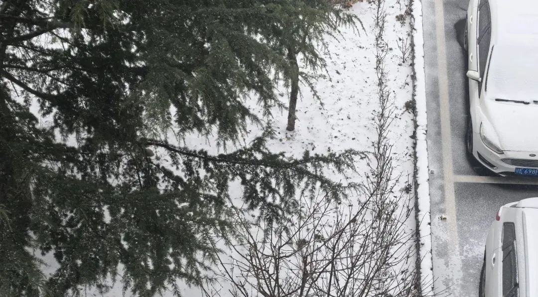 湖北正在下雪！“比冬天的雪还大”