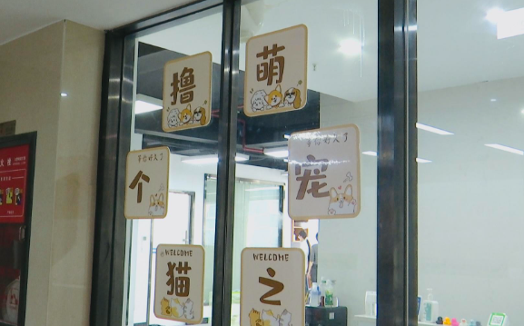 以为是救助流浪动物，结果却背上了“宠物贷”？贵阳一女子怀疑遭遇套路