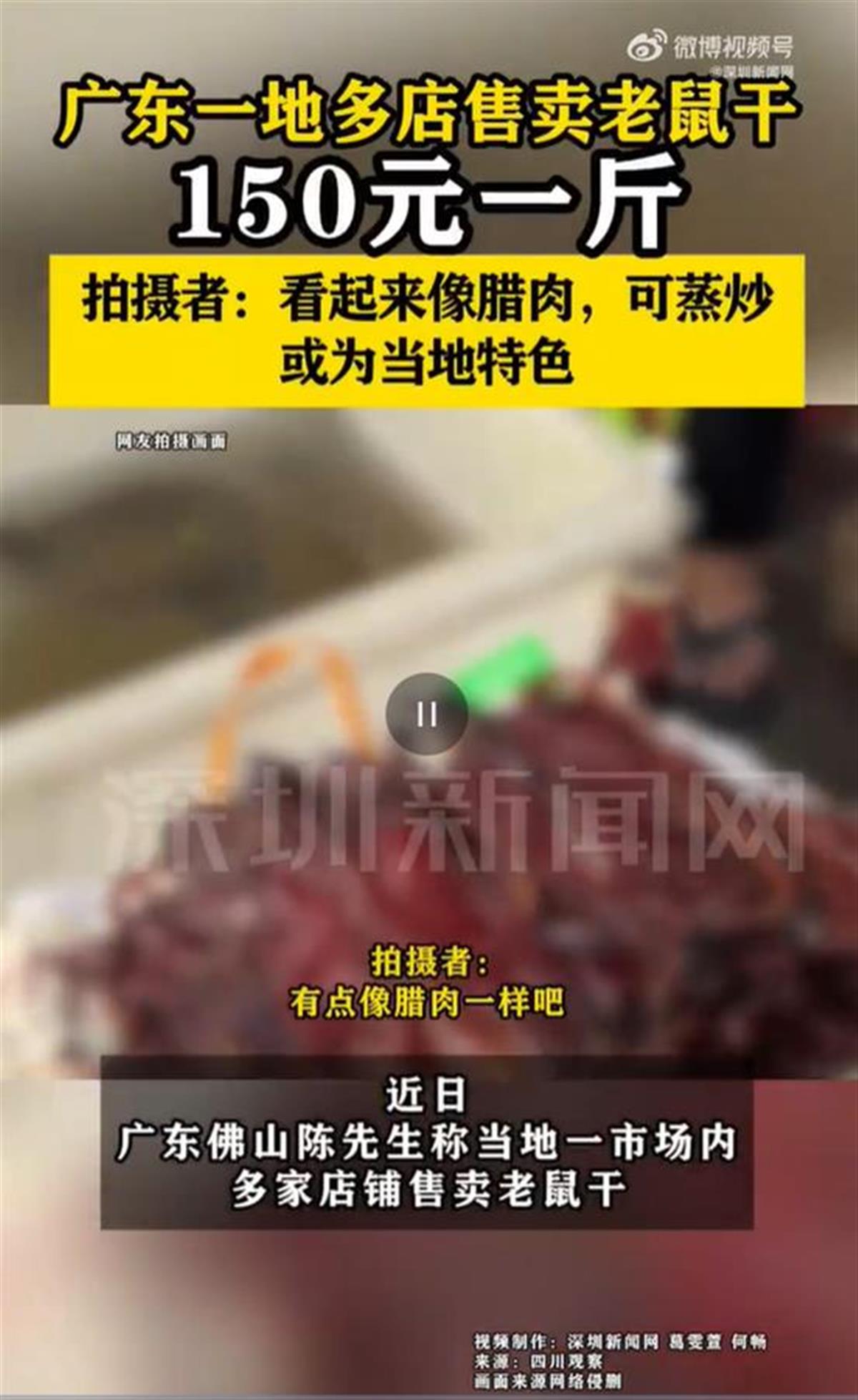 老鼠.png