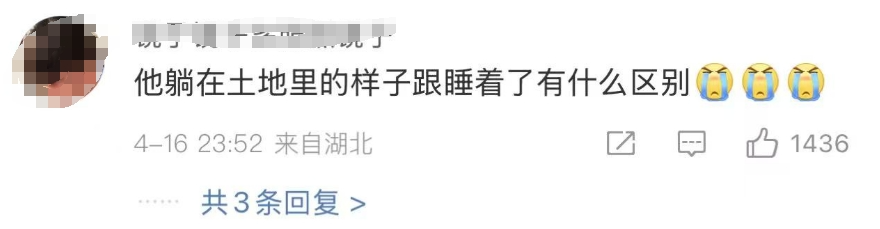 “毛毛果已缺货……”摘橙子小狗毛毛突发心脏病离世了！