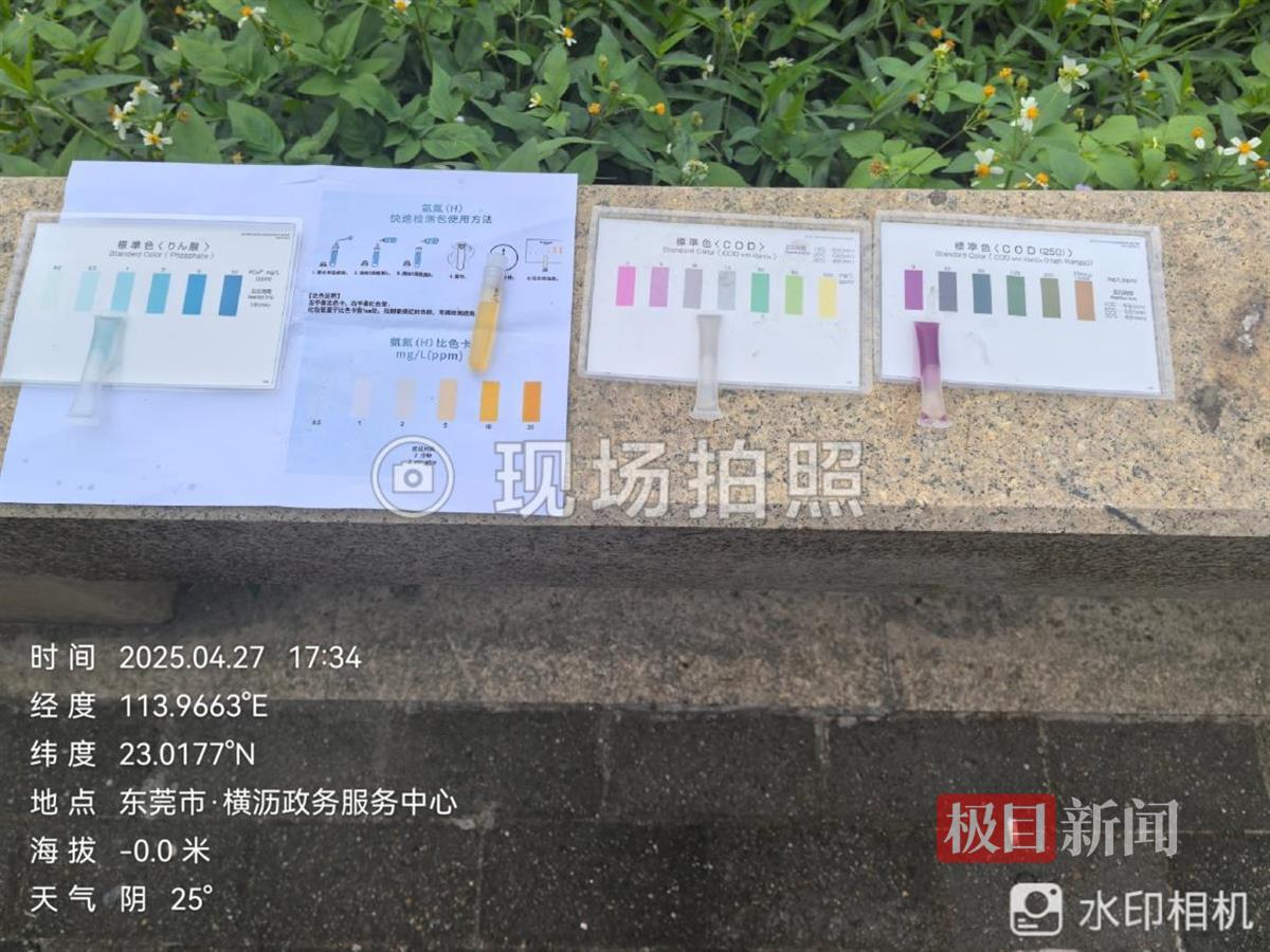 东莞一河流突现大片死鱼，环境局：大雨后部分生活污水冲刷入河，鱼类因缺氧死亡