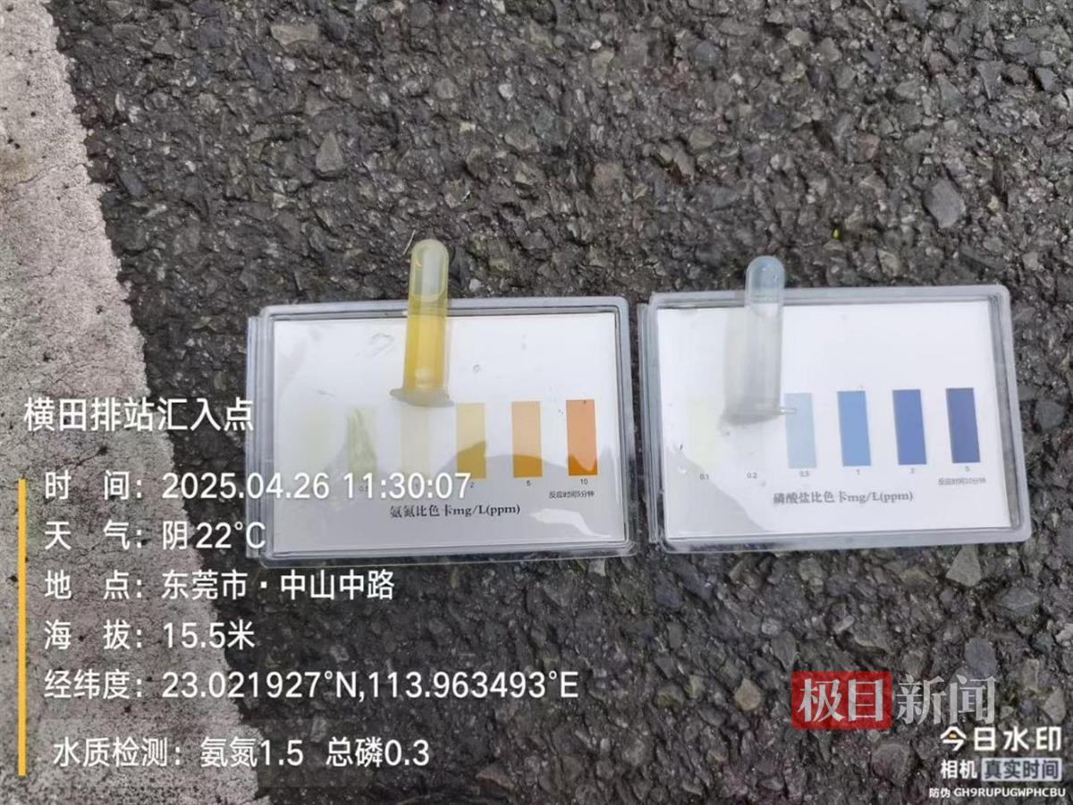 东莞一河流突现大片死鱼，环境局：大雨后部分生活污水冲刷入河，鱼类因缺氧死亡