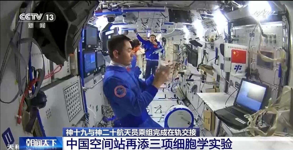 “神舟家族”六次在轨传递“接力棒” 中国空间站再添三项细胞学实验