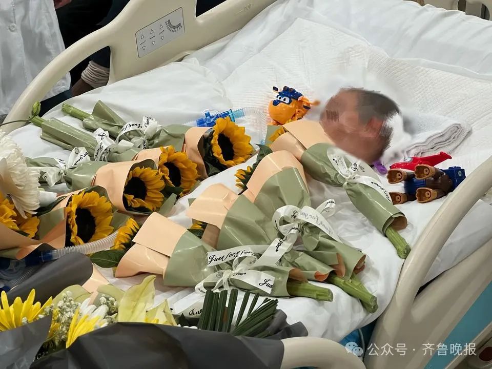 心疼！凡凡离世，年仅5岁