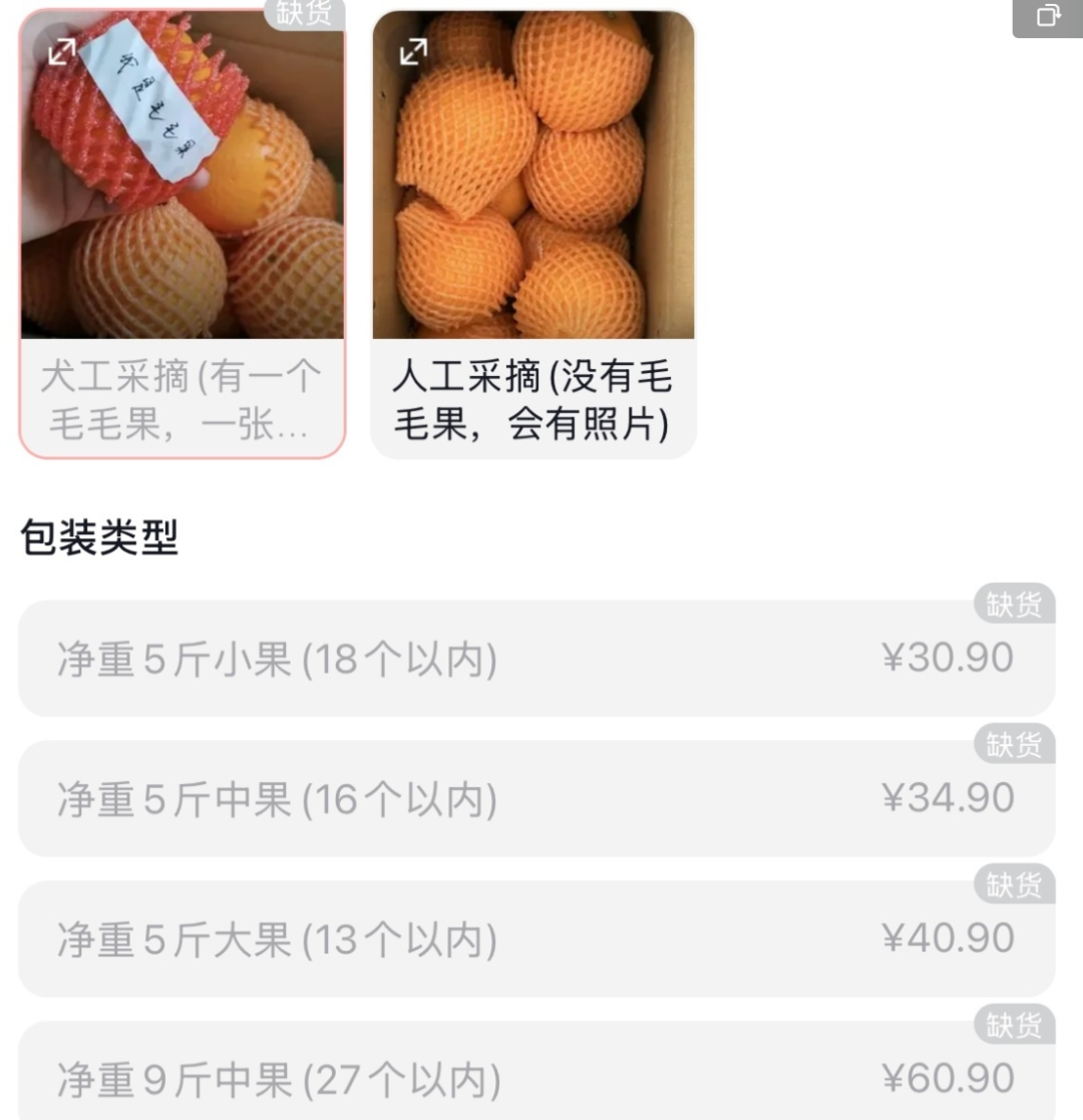 “毛毛果已缺货……”摘橙子小狗毛毛突发心脏病离世了！