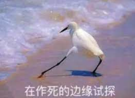 13种在城市里很常见的大鸟！赌你都见过 就是不认识