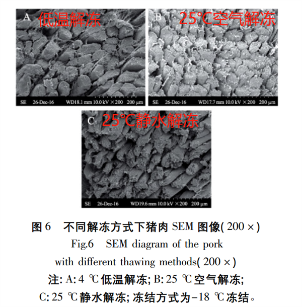 这几个无意识的习惯：可能在悄悄伤害你的健康