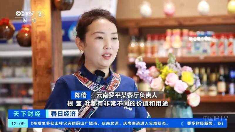 既有颜值又有产值 云南罗平油菜花吸引老外也来打卡