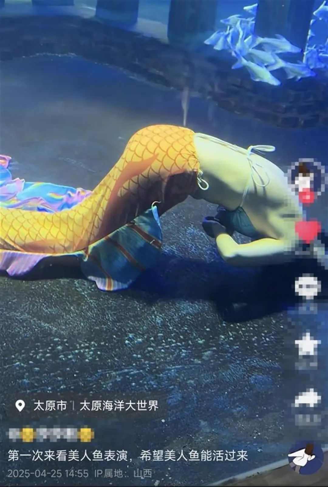 业内谈“美人鱼演员表演时晕倒”：下水前一般进食较少，遇到问题安全员至关重要