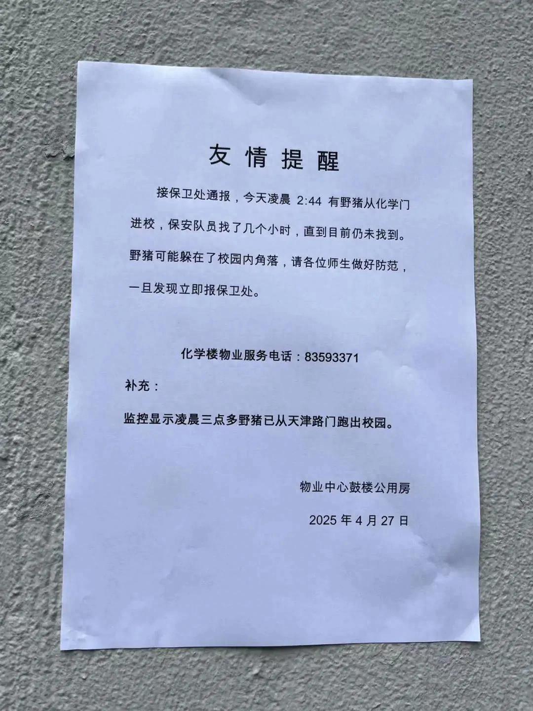 野猪闯入南大鼓楼校区，全校连夜寻找