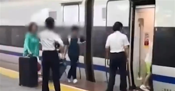 真相大白！官方还原女子阻止高铁关门全过程：处罚结果公布