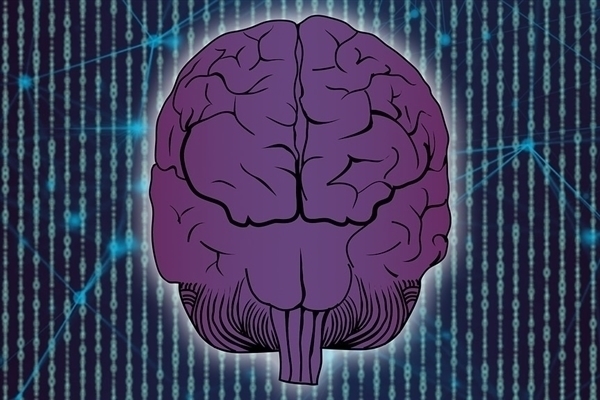 马斯克旗下Neuralink拟融资5亿美元：估值已达85亿美元