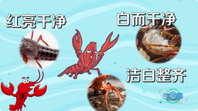 近期即将大量上市！提醒：这些部位最好不要吃→