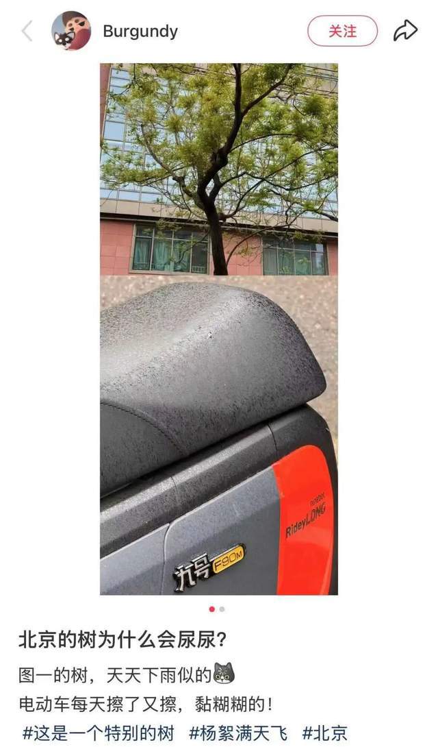 夏天树下的共享单车，为什么总有“不明液体”？