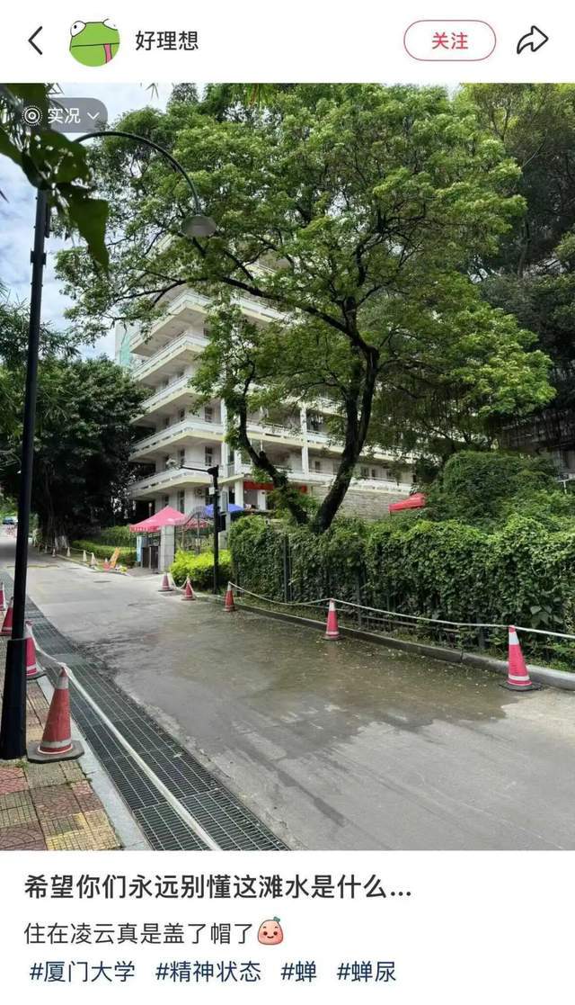 夏天树下的共享单车，为什么总有“不明液体”？