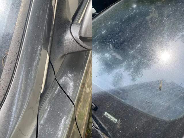 夏天树下的共享单车，为什么总有“不明液体”？