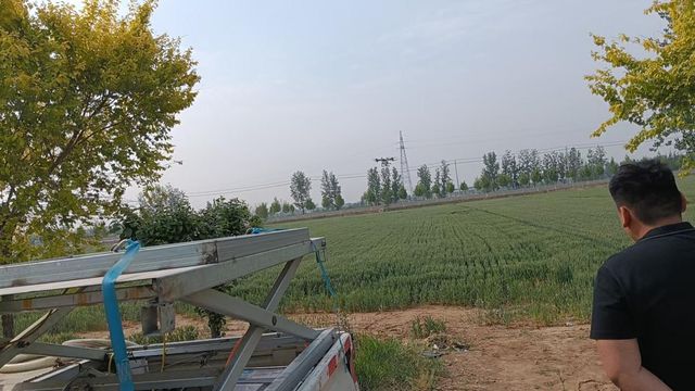 台前县后方镇：全面推进小麦“一喷三防” 筑牢夏粮丰收根基