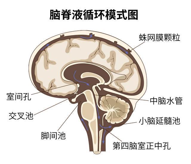 可怕！32岁男子脑子“漏水”竟与这个动作有关！