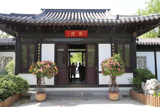 市花“郑”绽放 相约在南环