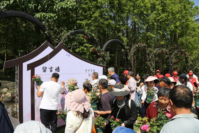 市花“郑”绽放 相约在南环
