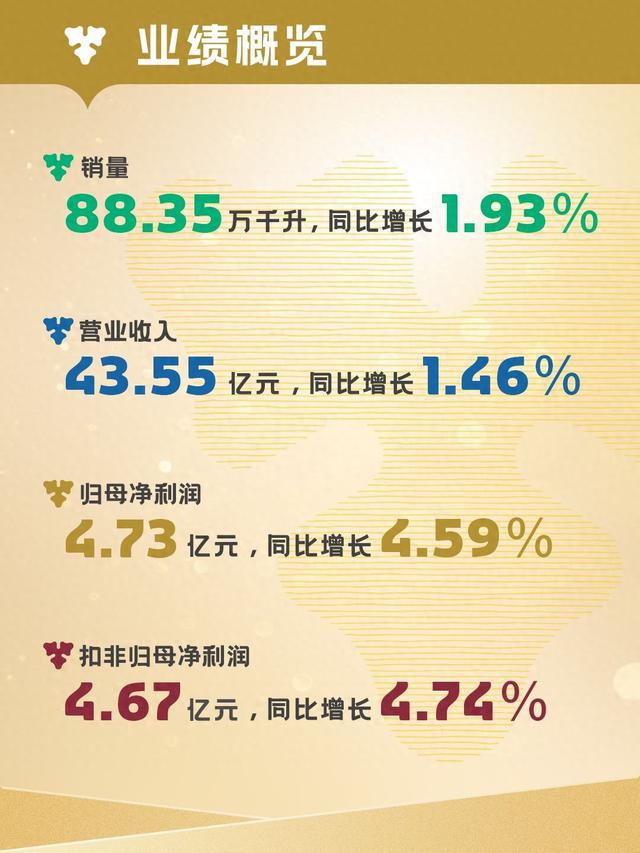 重啤发布一季报：实现2025年稳健开局
