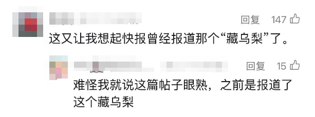 路边突然出现！最贵60元/斤，但连DeepSeek都不知道是什么…