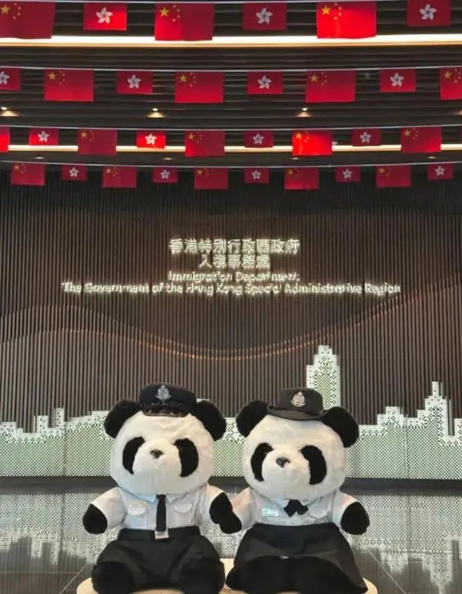 大熊猫“安安”被曝不近女色?粉丝急了：一天就知道吃吃吃!