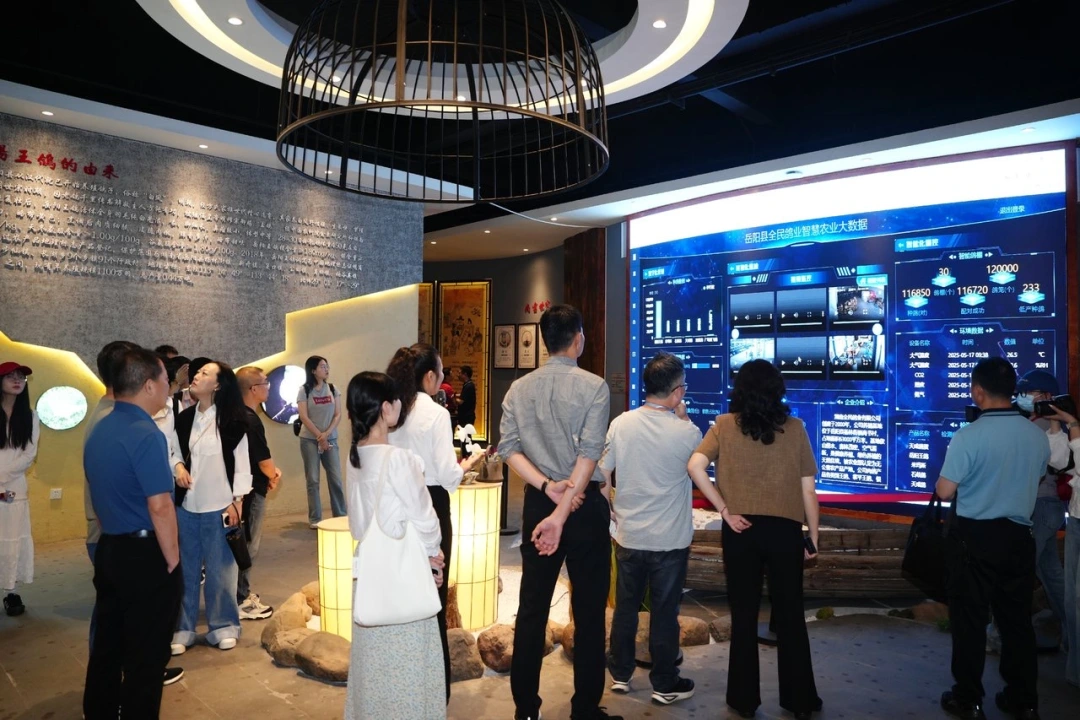一只小鸽子，为何能吸引14家知名媒体集中探访？