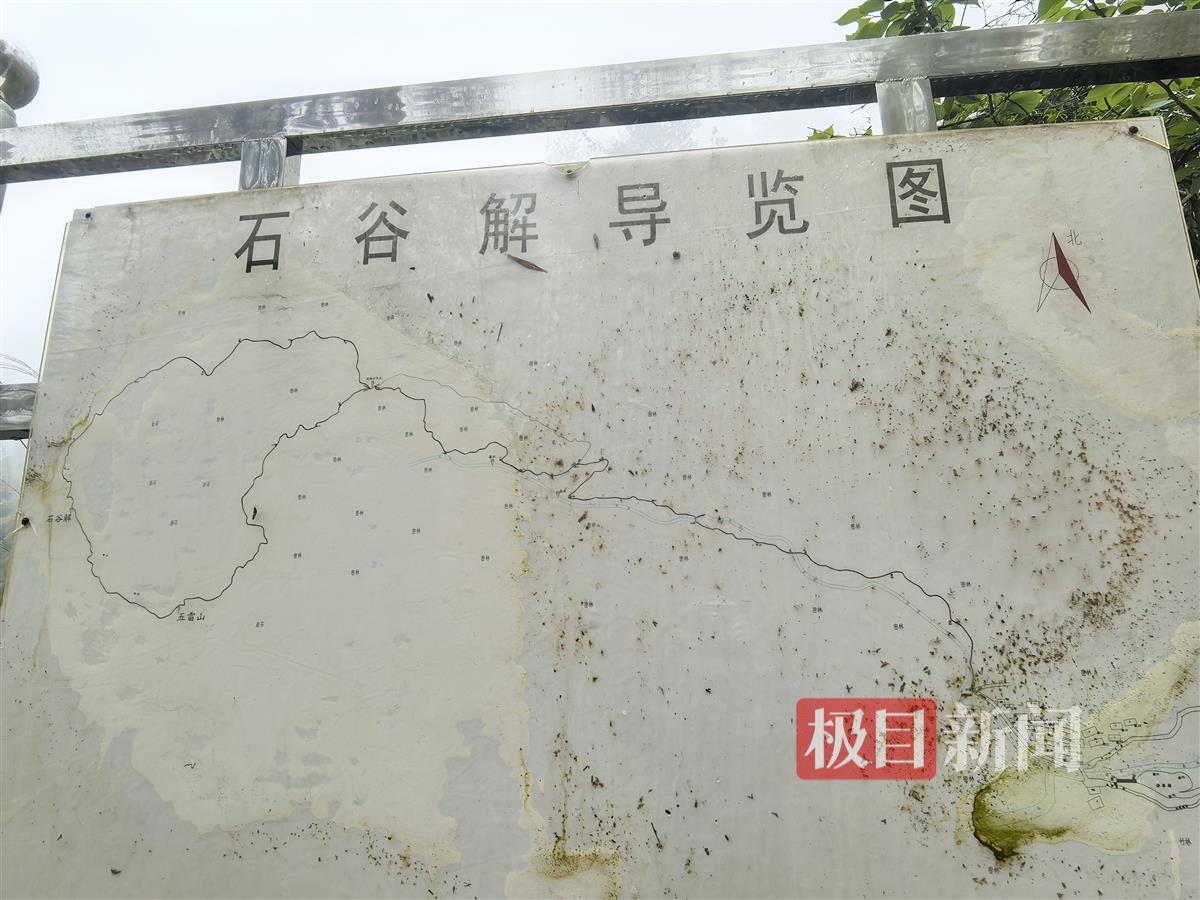 8岁男童失踪搜救现场夜间温度不到10℃，有救援人员半天走4万步