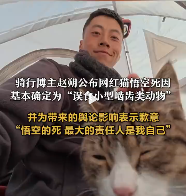 赵朔公布悟空死因系误食啮齿类动物，称自己没有看护好悟空