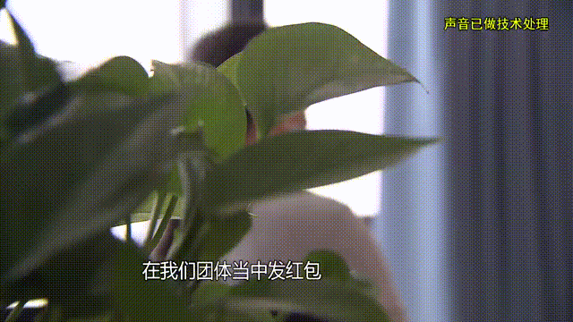 37岁女子借给男友100万，天天吃泡面也坚持转钱，警方一查发现惊人真相