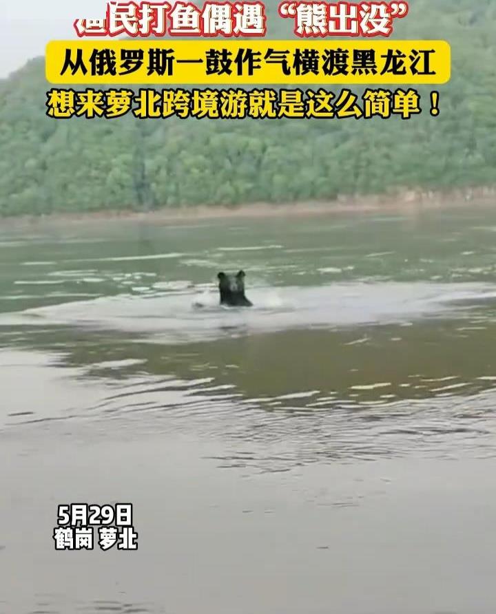 微信图片_2025-05-30_144540_902.jpg