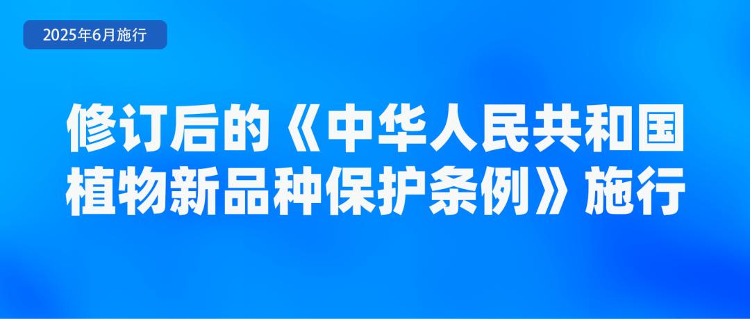 免费学前教育逐步推进！6月起，这些新规将施行