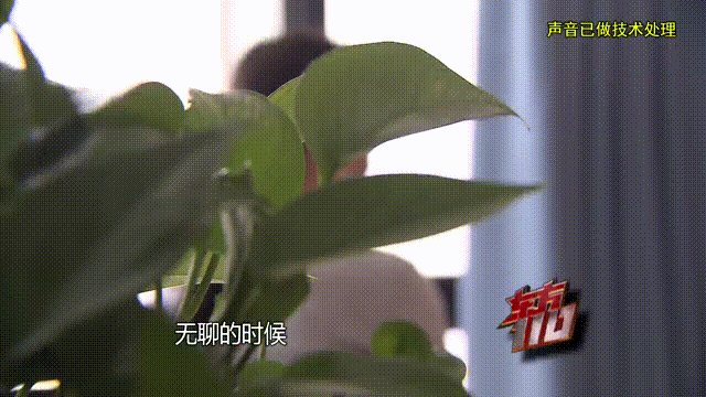 37岁女子借给男友100万，天天吃泡面也坚持转钱，警方一查发现惊人真相