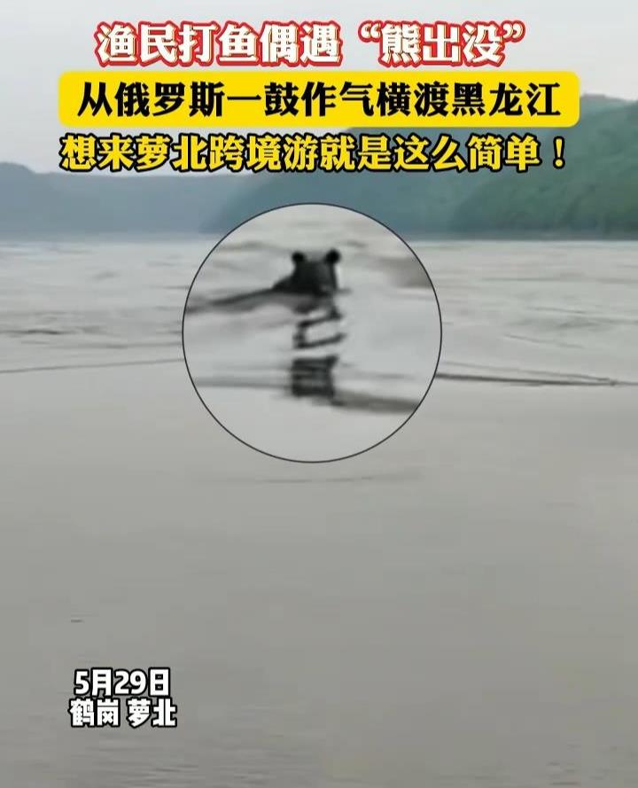 微信图片_2025-05-30_144546_781.jpg
