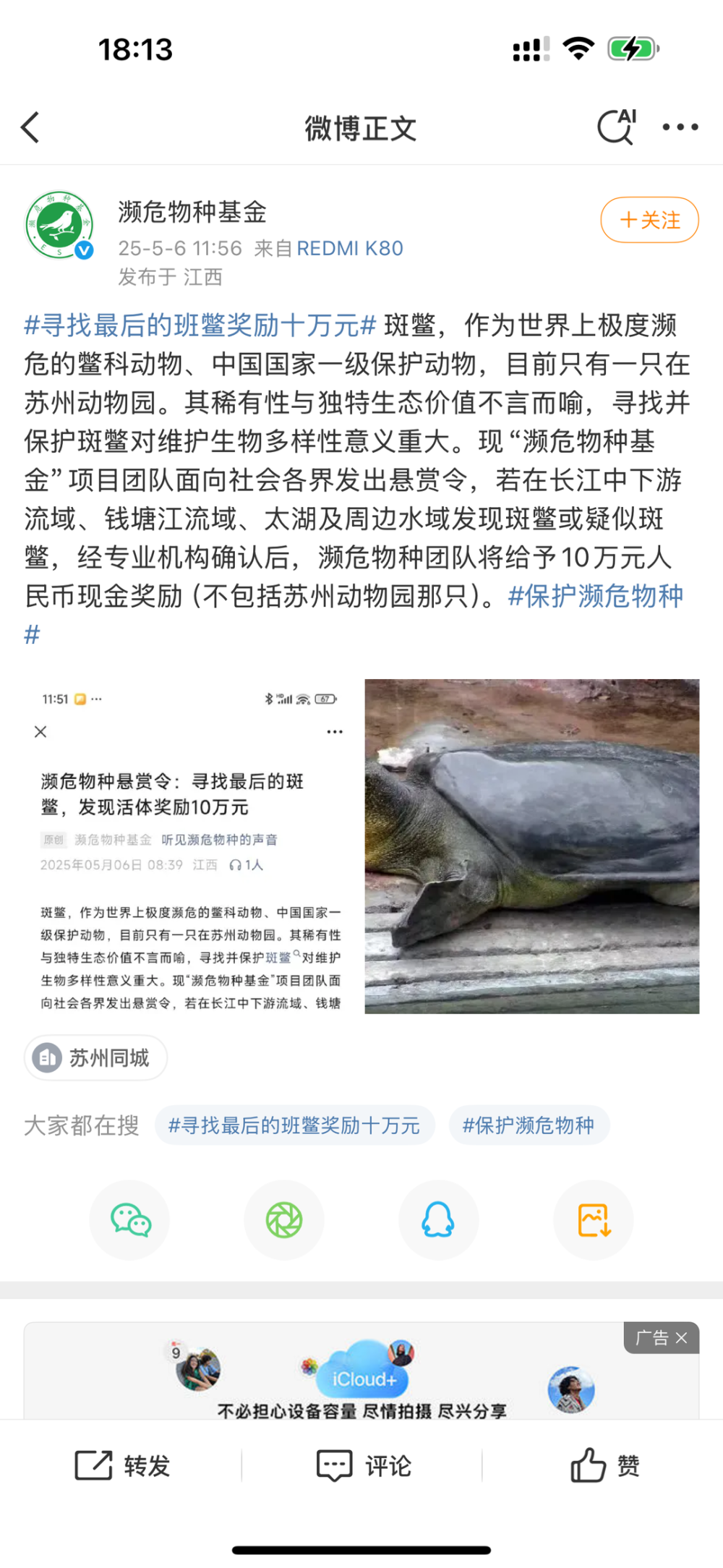 国内一民间公益组织十万元悬赏寻找斑鳖，团队负责人回应