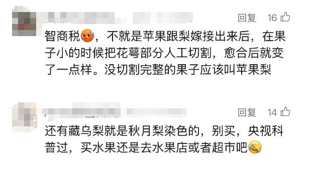 路边突然出现！最贵60元/斤，但连DeepSeek都不知道是什么…