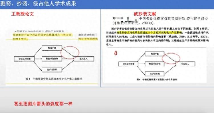 剽窃他人论文、抄袭网络内容？南京一高校人事处副处长被举报学术不端，学校纪委：正在核实