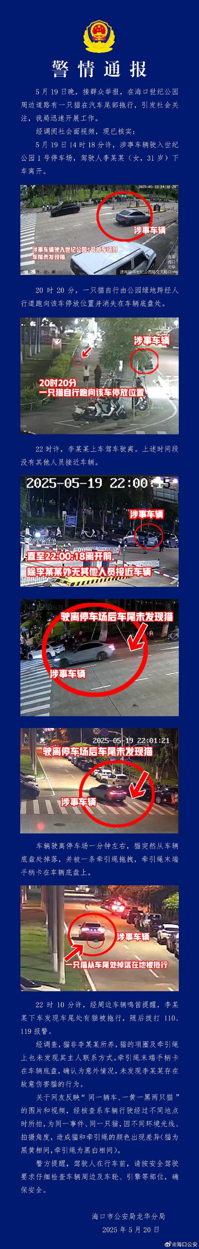 警方回应宝马拖行小猫致死:系意外情况