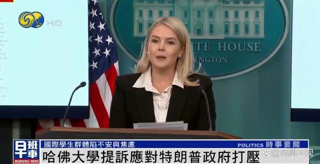 哈佛留学生陷入恐慌:刀落到自己身上才知道疼