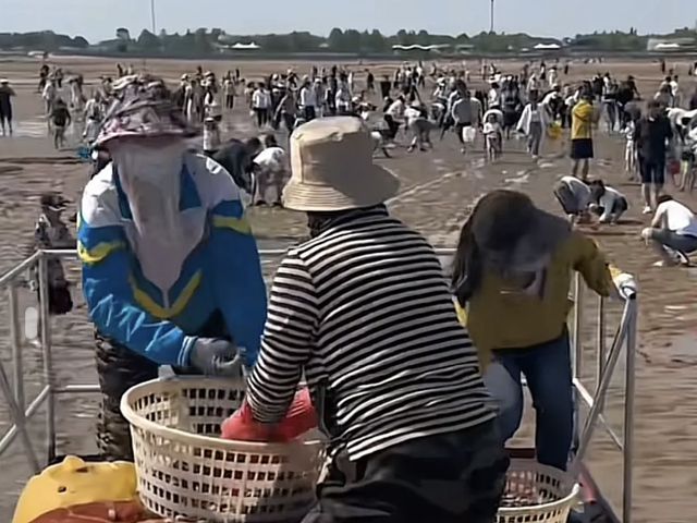 花样“宠客”，“暖心”才能换来“开心”丨中听